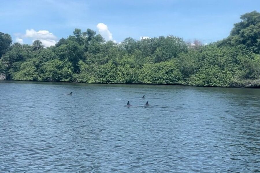 Cocoa Beach: Dolphin and Manatee Kayak or Paddle Tour - The opening paddle through Cocoa Beach waterways