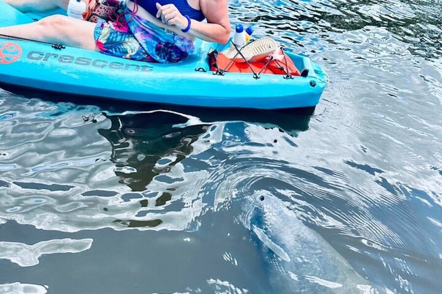 Cocoa Beach: Dolphin and Manatee Kayak or Paddle Tour - The Banana River Manatee Refuge