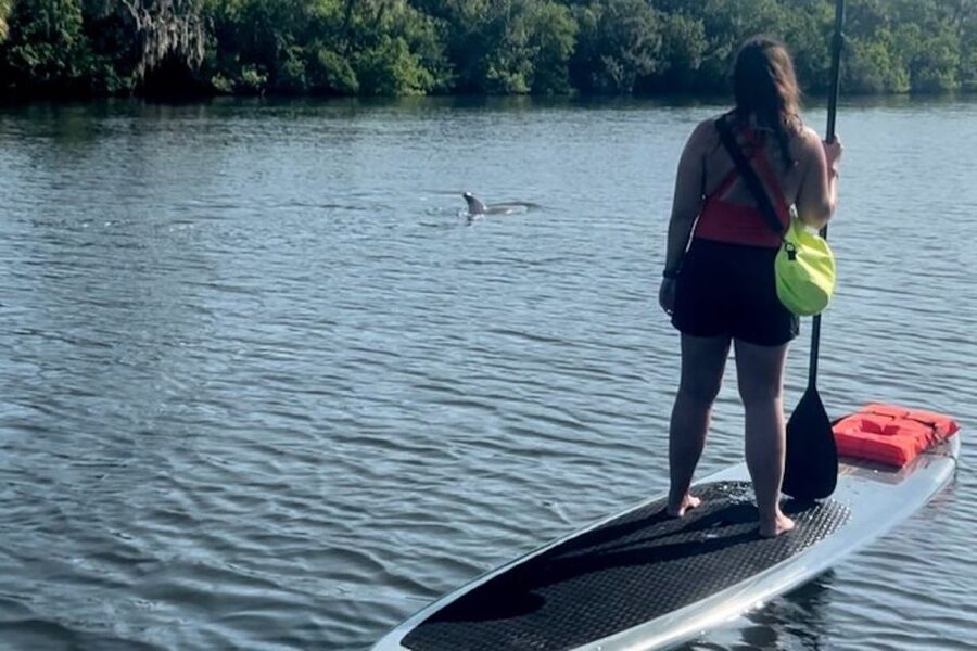 Cocoa Beach: Dolphin and Manatee Kayak or Paddle Tour - Finding the launch at 4800 Tom Warriner Boulevard