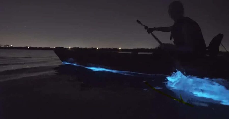 Cocoa Beach/Merritt Island:Bioluminescent kayak tour - Key details before you book