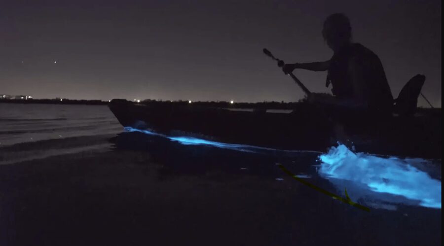 Cocoa Beach/Merritt Island:Bioluminescent kayak tour - Why this Merritt Island night tour is worth your time