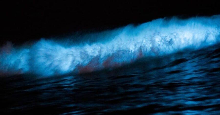 Cocoa Beach/Merritt Island:Bioluminescent kayak tour - Paddling into the Indian River Lagoon