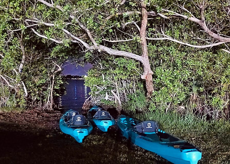 Cocoa Beach/Merritt Island:Bioluminescent kayak tour - Comb jellies during the rest of the year