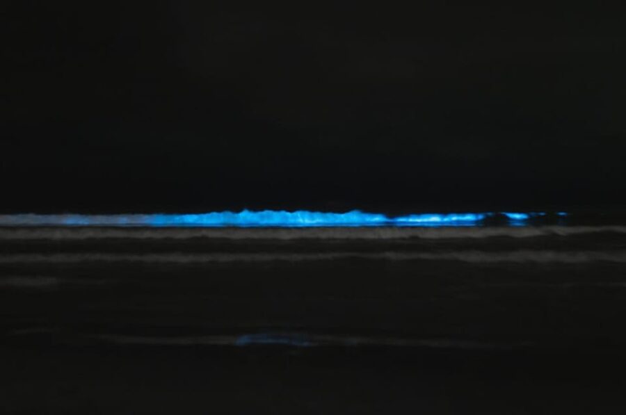 Cocoa Beach/Merritt Island:Bioluminescent kayak tour - What to wear and pack for the lagoon