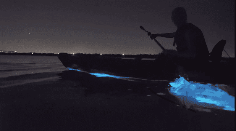Cocoa Beach/Merritt Island:Bioluminescent kayak tour - Meeting at Kiwanis Island Park Road