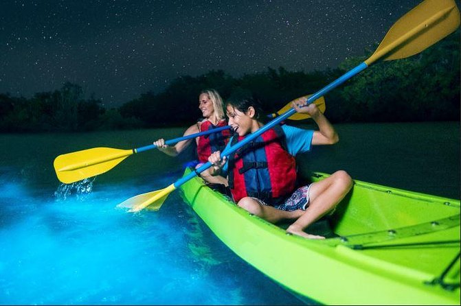 Cocoa Beach Night Time Bioluminescence Kayak Tour - Key points to know before booking