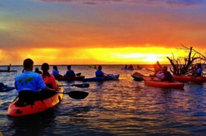 Cocoa Beach Night Time Bioluminescence Kayak Tour - What the 90-minute paddle feels like