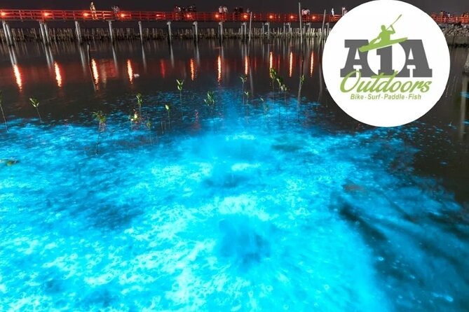 Cocoa Beach Night Time Bioluminescence Kayak Tour - Safety, swimming, and family considerations