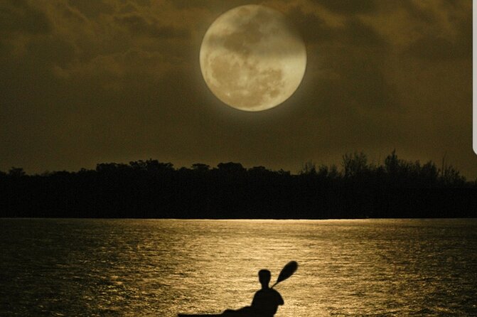 Cocoa Beach Night Time Bioluminescence Kayak Tour - Is $79 a fair price?