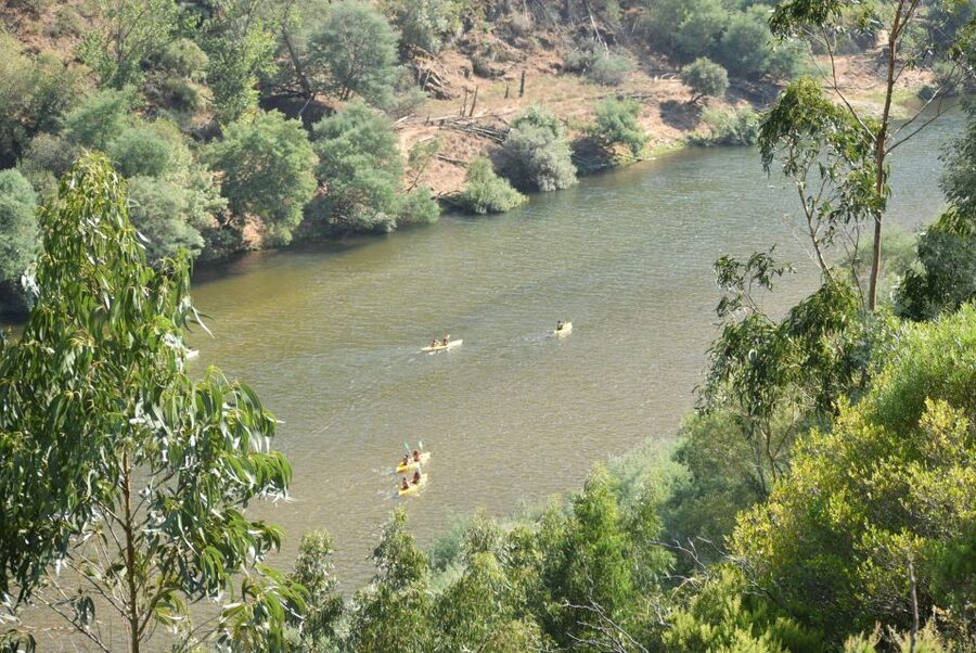 Coimbra: Mondego River Kayaking Tour - How demanding is 18 kilometers?
