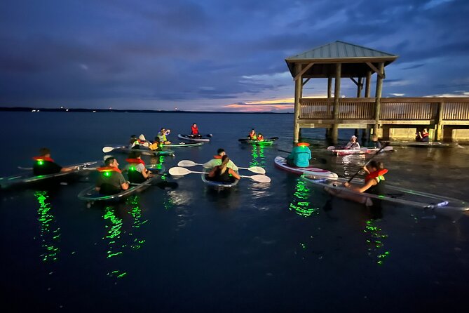Comb Jelly Bioluminescence Clear Kayak Glow Tour - Who should book the clear kayak glow tour