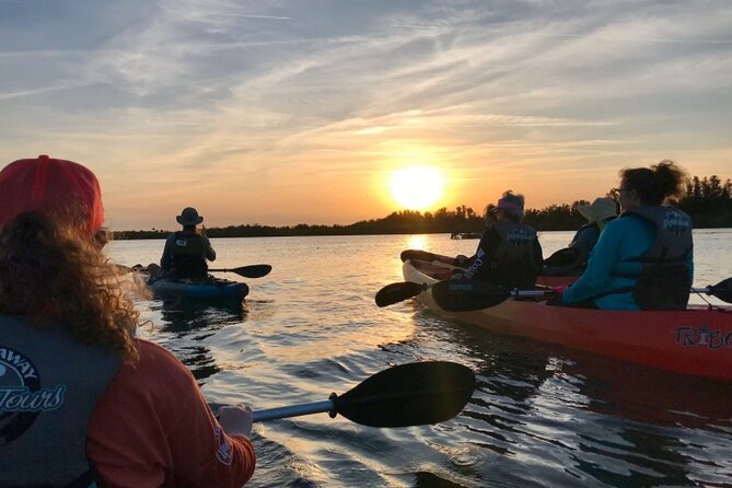 Comb Jelly Bioluminescence Kayak Tour - Key points to know before you book