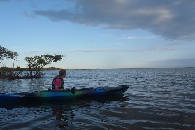 Comb Jelly Bioluminescence Kayak Tour - From the 7:15 pm launch to the glowing water