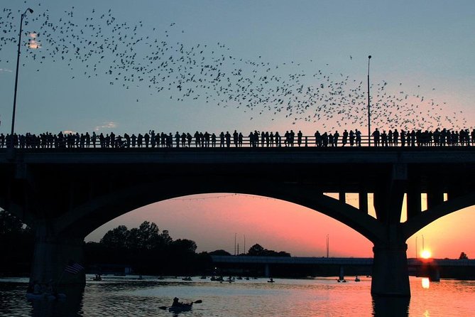 Congress Avenue Bat Bridge Kayak Tour in Austin - Key points to know before you book