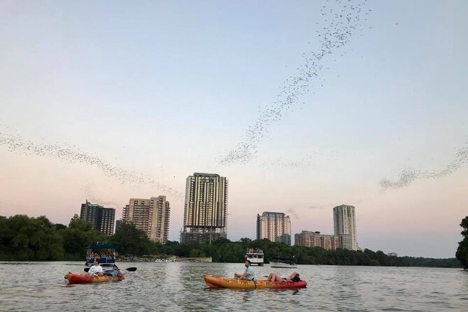 Congress Avenue Bat Bridge Kayak Tour in Austin - Under Congress Avenue Bridge with the bats