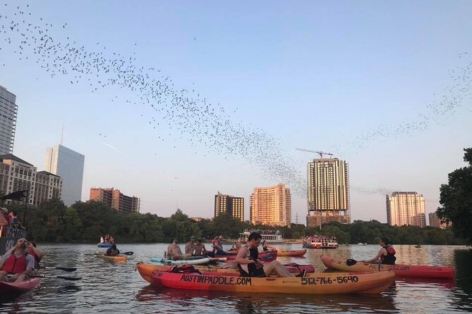 Congress Avenue Bat Bridge Kayak Tour in Austin - What the $50 price gets you