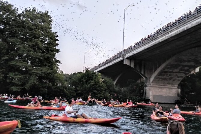 Congress Avenue Bat Bridge Kayak Tour in Austin - Who will enjoy this evening most