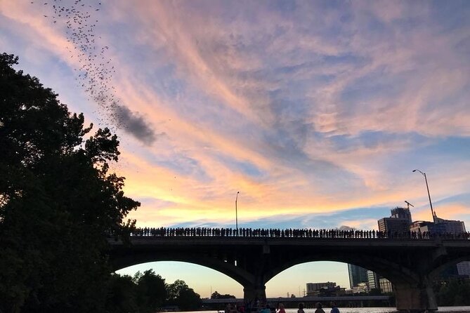 Congress Avenue Bat Bridge Kayak Tour in Austin - Practical tips for a smoother outing