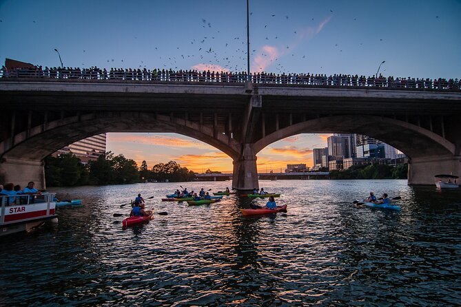 Congress Bridge Kayaking Bat Tour - Key points to know before you book
