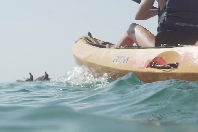 Costa Brava: Kayak, Snorkel, Photos, Lunch, Beach & Cliff Jump! - Snorkeling, sea life, and the cliff jump