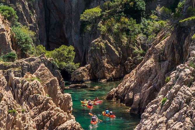 Costa Brava Kayaking and Snorkeling Small Group Tour with Lunch - How small is the small group?