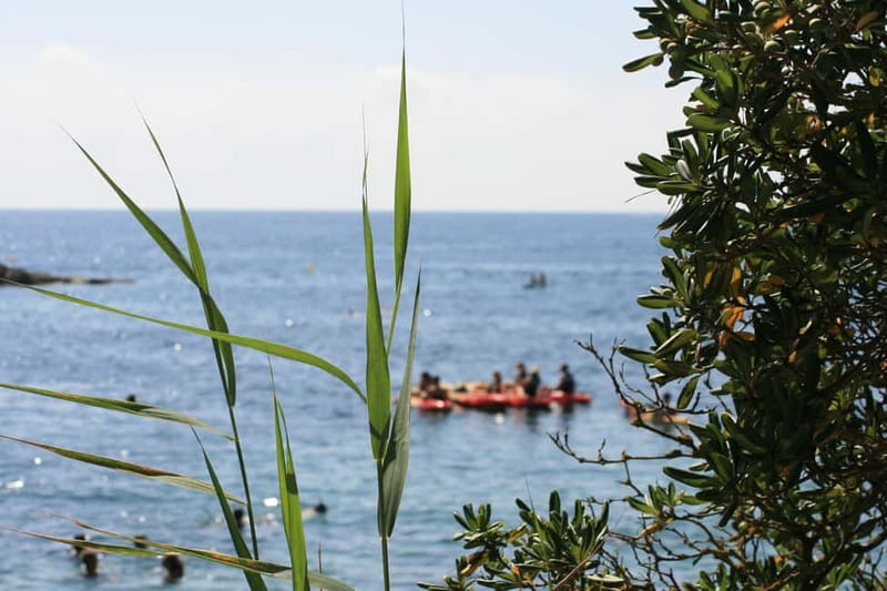Costa Brava: Sant Feliu de Guíxols Kayak & Snorkel Tour - Timing, cancellation, and practical preparation