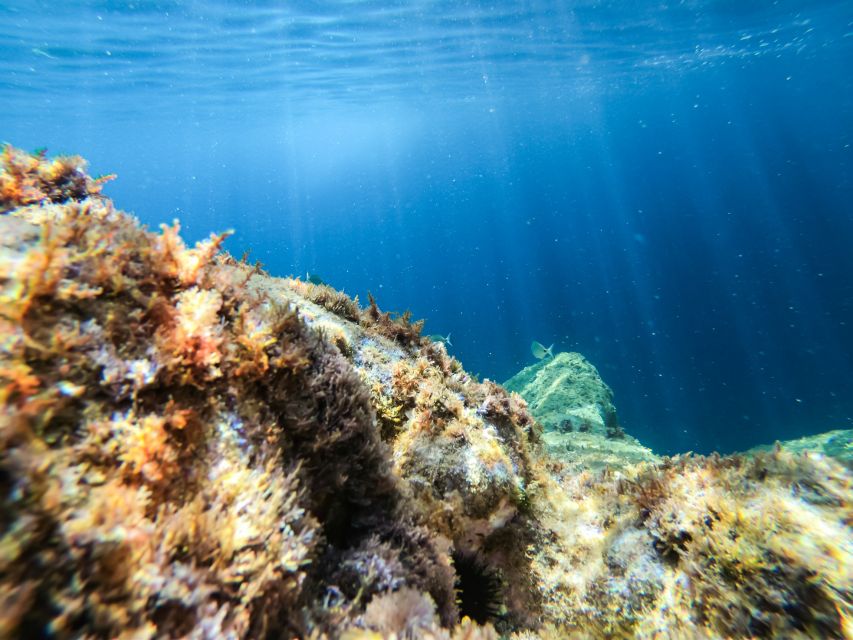 Costa Brava: Sea Caves Kayaking and Snorkeling Tour - The 20-minute snorkeling stop