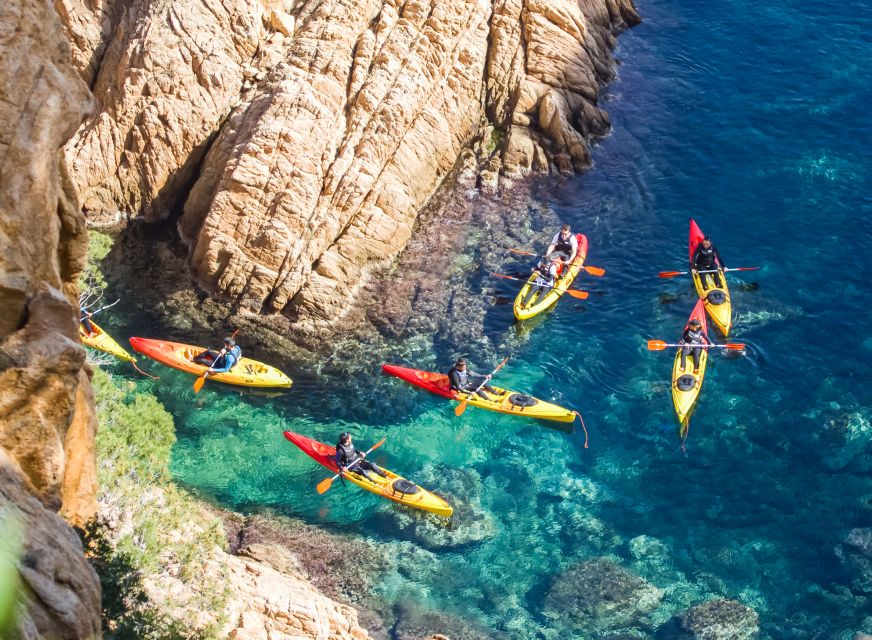 Costa Brava: Sea Caves Kayaking and Snorkeling Tour - The real value of a $40 Costa Brava tour