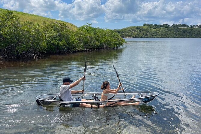 Crystal Kayak & Snorkel Eco Tour (with transfer) - Why the clear kayak matters in Antigua