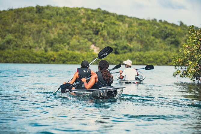 Crystal Kayak & Snorkel Eco Tour (with transfer) - Snorkeling can be the best part, or the weak link