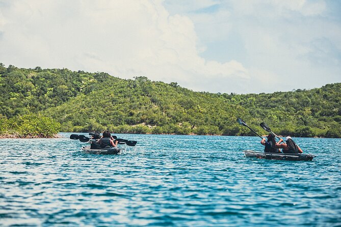 Crystal Kayak & Snorkel Eco Tour (with transfer) - The crew is a major part of the value