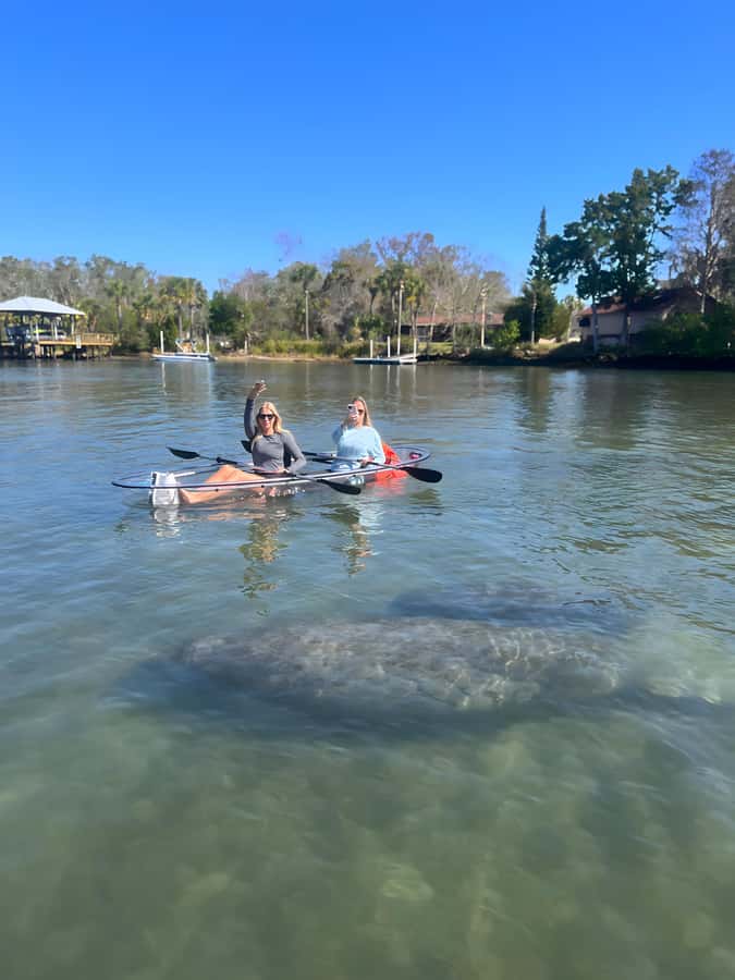 Crystal River: Clear Kayak Manatee Tour w/Free Photo Package - Starting at Pete’s Pier Marina