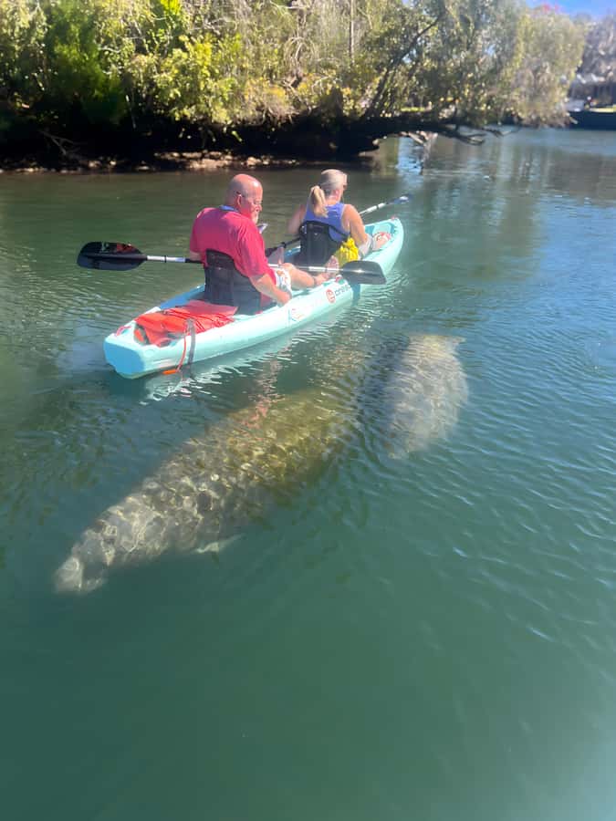Crystal River: Clear Kayak Manatee Tour w/Free Photo Package - What the free photo package adds
