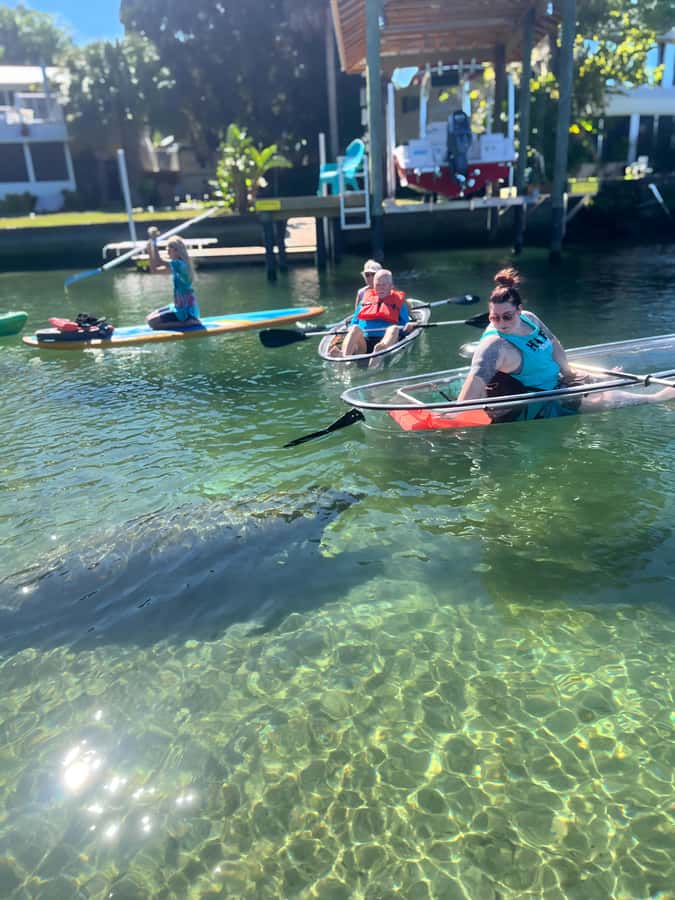 Crystal River: Clear Kayak Manatee Tour w/Free Photo Package - Is $63 a fair price?