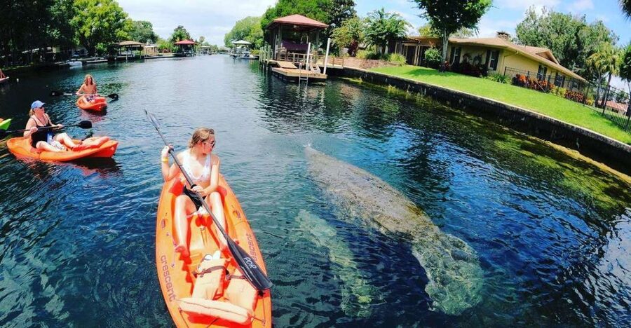 Crystal River: Kayak Rental - Key points to know before you paddle