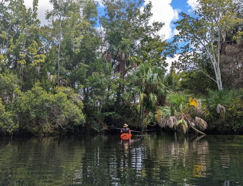 Crystal River: Kayak Rental - Starting at Petes Pier Marina
