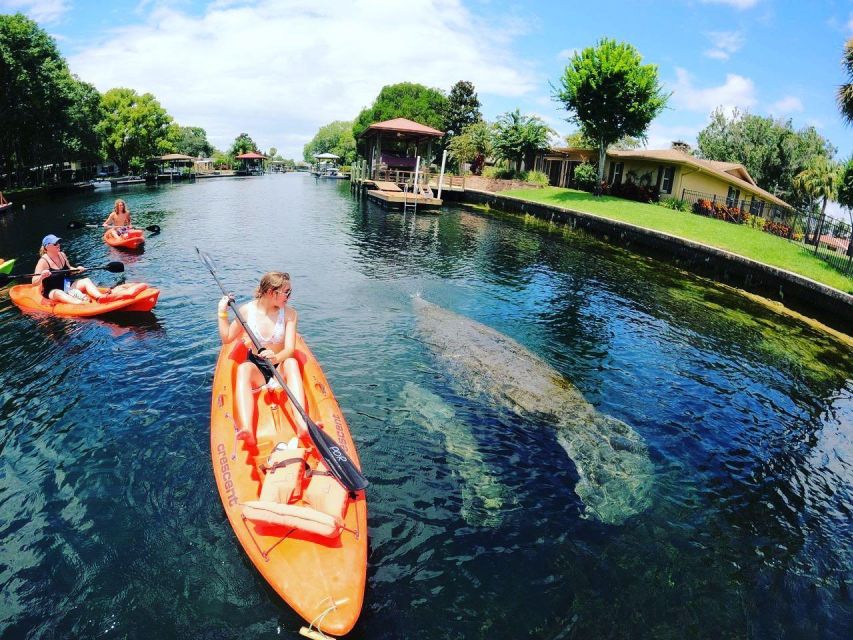 Crystal River: Kayak Rental - Paddling toward Kings Bay and Crystal River