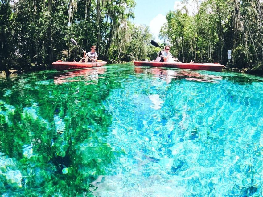 Crystal River: Kayak Rental - Reaching Three Sisters Springs