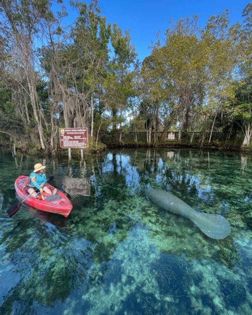 Crystal River: Kayak Rental - Choosing the right rental length