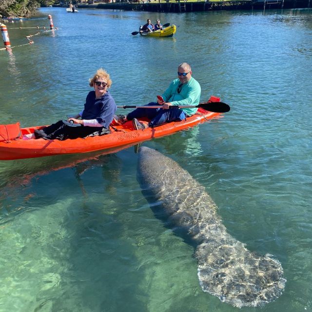 Crystal River: Kayak Rental - Practical comfort and safety tips