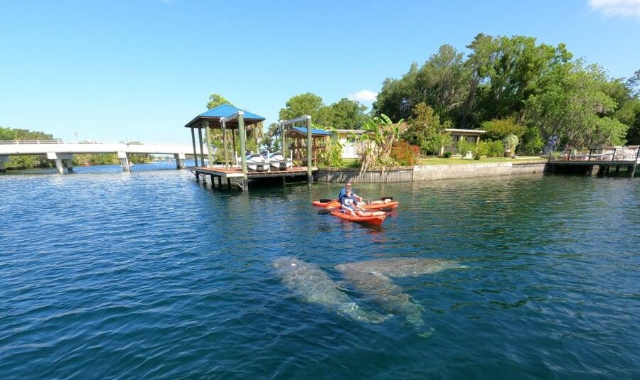 Crystal River: Kayak Rental - Getting comfortable in the kayak