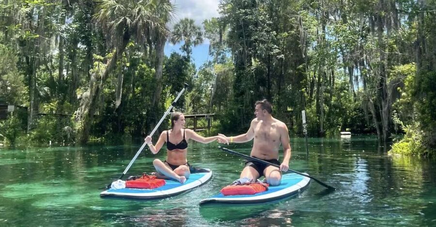 Crystal River: Paddle Board Rental - Starting at Pete’s Pier Marina in Crystal River