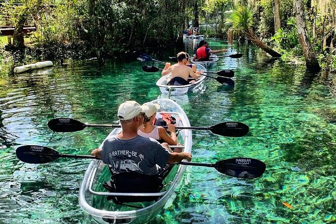 Crystal River Three Sisters Springs and Manatee Clear Kayak Tours - Kings Bay Park: A Simple Launch Point