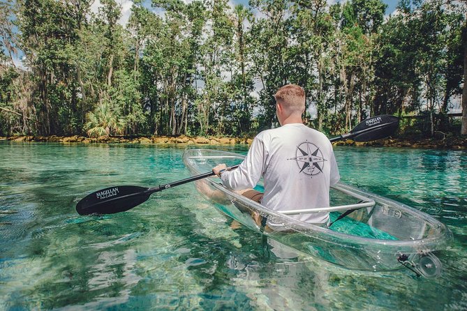 Crystal River Three Sisters Springs and Manatee Clear Kayak Tours - Why the Clear Kayak Makes a Difference