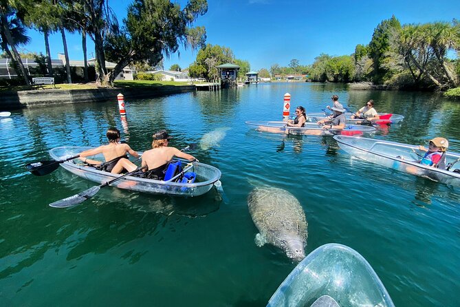 Crystal River Three Sisters Springs and Manatee Clear Kayak Tours - Guides, Stories, and the Small-Group Advantage