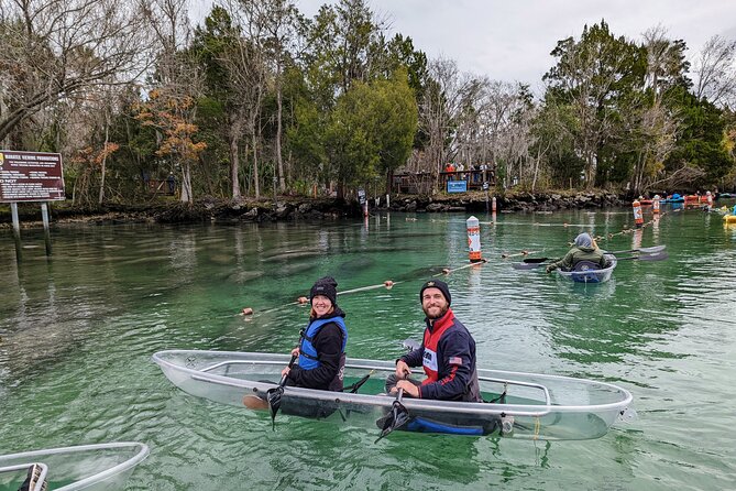 Crystal River Three Sisters Springs and Manatee Clear Kayak Tours - Is the Tour Worth the Price?