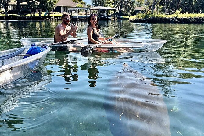 Crystal River Three Sisters Springs and Manatee Clear Kayak Tours - Who Should Book This Crystal River Outing?