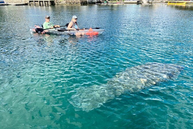 Crystal River Three Sisters Springs and Manatee Clear Kayak Tours - Smart Ways to Prepare