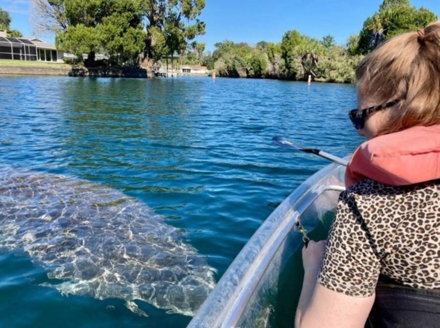 Crystal River: Three Sisters Springs Eco Tour by Clear Kayak - Quick Take: What Matters Most