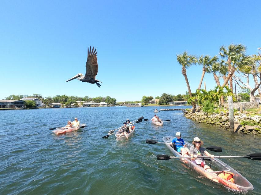 Crystal River: Three Sisters Springs Eco Tour by Clear Kayak - Choosing Between Manatee Season and Three Sisters Springs